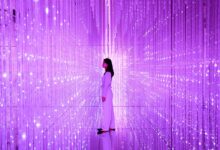 Photo of Разработка архитектурного проекта для нового музея современного искусства