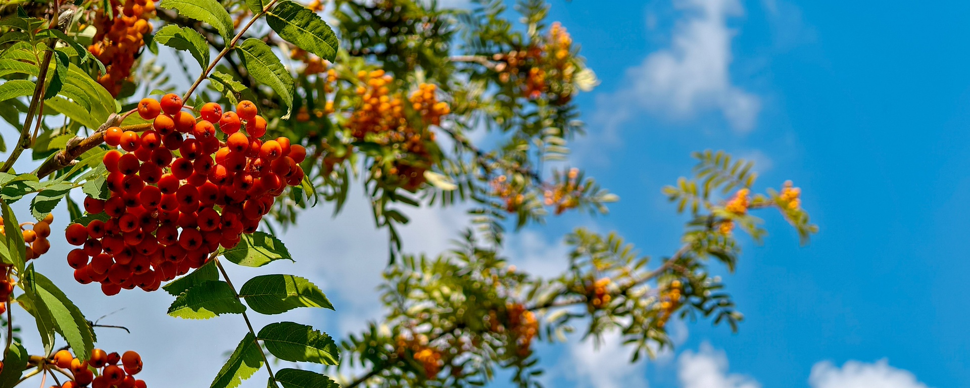 Фото 44 — Утопические дома: идеи для жизни в гармонии с природой